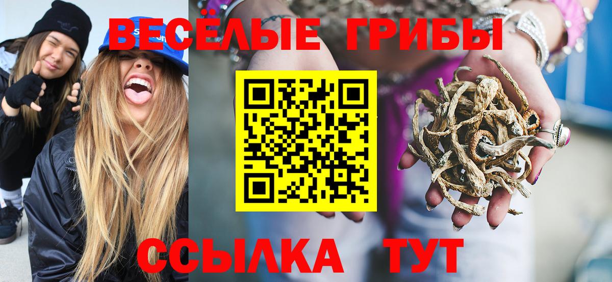Галлюциногенные грибы GOLDEN TEACHER  Псилоцибиновые грибы мухоморы  Вход с VPN  наркота  Баксан 